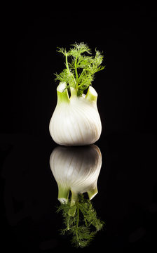 Fennel