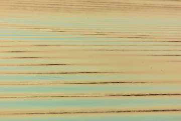 The surface of the water in the pond at sunset as a background