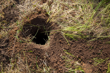 Obraz premium Dug pit in the ground for the fence