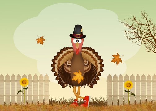 illustration of turkey in autumn