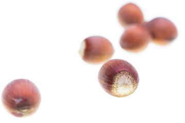 Ripe hazelnut nuts isolated on white background