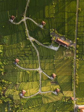 Indonesia, Bali, Kedungu, Aerial view