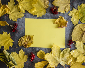 Naklejka na ściany i meble Autumn yellow leaves on blue background, flat lay copy space mockup