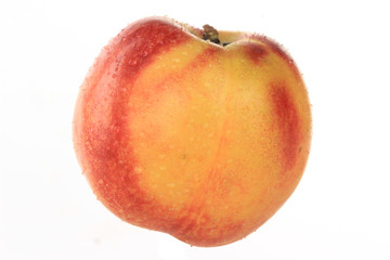 nectarine isolated