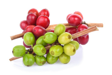 red and green Coffee beans on shite background