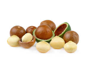 Macadamia nut isolate on white background