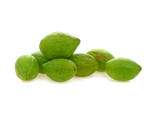 Chebulic Myrobalans, Myrolan Wood (Terminalia chebula Retz.) Fruit, medicinal properties.