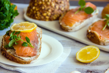 Sandwiches with Salmon and Lemon on a Tree Background