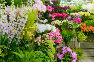 Fototapeta na wymiar Beautiful colorful flowers at shop
