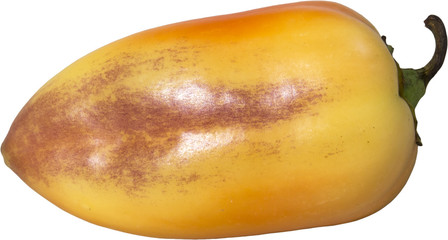 Sweet yellow pepper