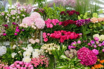 Colorful diversity of blossoms