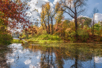 trip to autumn. on the river bank. autumn colors.