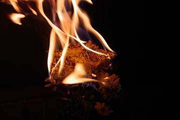 flower on fire