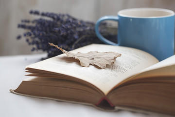 spending the autumn morning reading your favorite book, in bed and with a fragrant coffee ... bookmark is an oak leaf