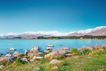 Fototapeta na wymiar amazing landscapes viewed from Tekapo observatory, New Zealand