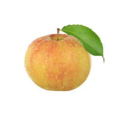 yellow apple isolated on white background