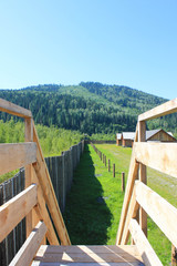 wooden chairs in the park