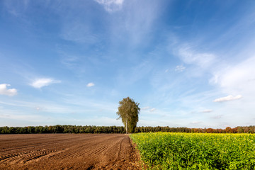 Herbstlandschaft