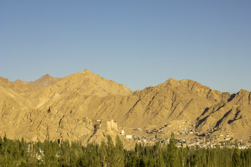 the city behind the green forest in the desert mountains