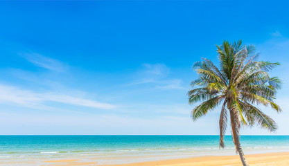 Fototapeta na wymiar Tropical paradise beach with sand and coco palms travel tourism blue sky as background