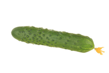 fresh green cucumber isolated on white background