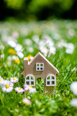The symbol of the house stands among white daisies