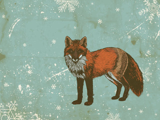 Winter background with hand drawn red fox on blue background with grunge texture and snowflakes.