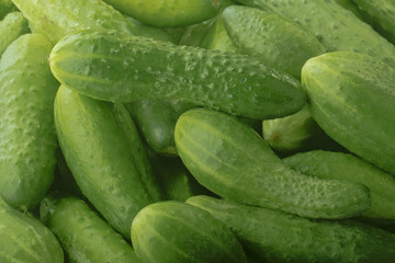 heap of cucumbers background