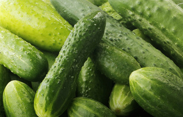 heap of cucumbers background