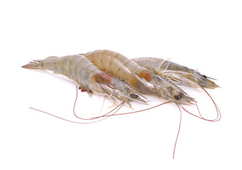 whole fresh vannamei shrimps on white background