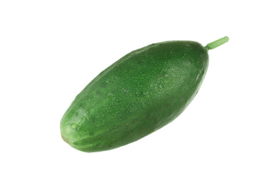 fresh green cucumber isolated on white background