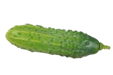 fresh green cucumber isolated on white background