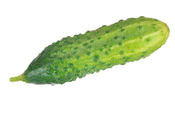 fresh green cucumber isolated on white background