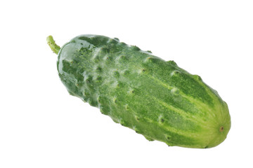 fresh mini green cucumber isolated on white background