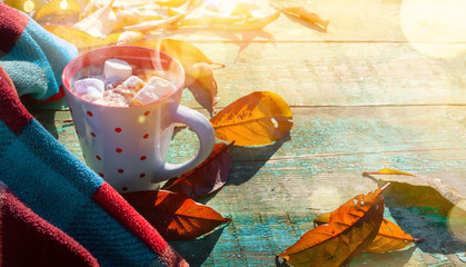 Autumn composition. Cup of cocoa with marshmallow, blanket, autumn leaves on sunny background