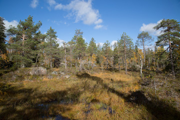 Pyhitystunturi autumn