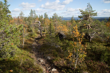 Hiking trail Pyhitystunturi autumn