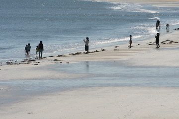 浜辺で遊ぶ人々