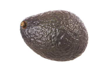 black avocado hass isolated on white background