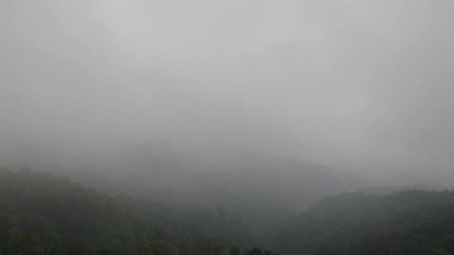 The bird ' s eye view of a viewpoint of the Prayao Lake in North of Thailand, the wilderness threes on the moutains in the morning the is covered by the sea of fog till can not see anything below. 