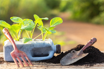Plastic recycle concept : People planting vegetable in plastic bottle and pile of soil on wooden...