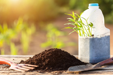 Plastic recycle concept : People planting vegetable in plastic bottle and pile of soil on wooden...