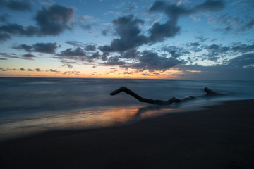 Early morning in Tortuguero. Sunrise at the ocean. Piece of driftwood - Costa Rica