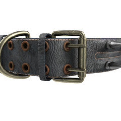 doggy leather collar on an isolated white background. 3d illustration