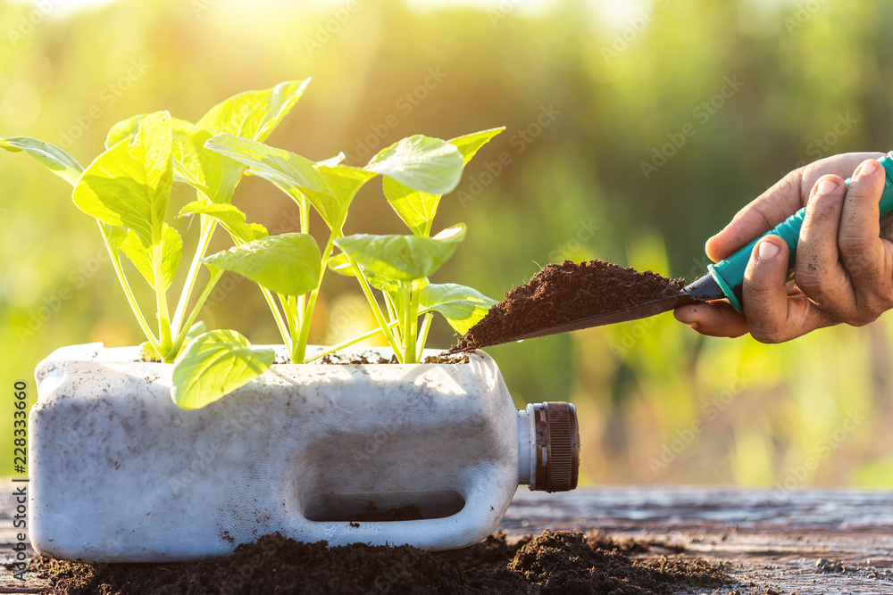 Sticker Plastic recycle concept : People planting vegetable in plastic bottle and pile of soil on wooden table