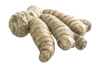 galangal root isolated on white