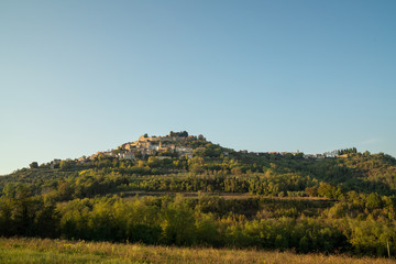blick auf die stadt motovun