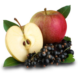 APPLES AND BLACKCURRENTS