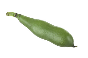 pod of green isolated on white background