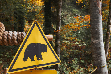 Bear caution yellow sign at autumn forest background. Wild animal danger concept
